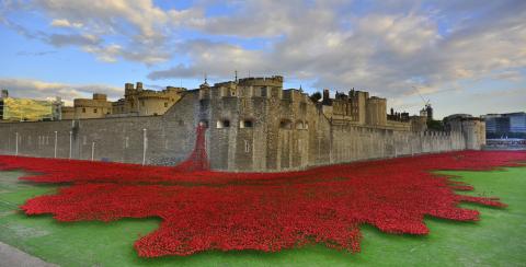 Tower of London poppies could come to Northern Ireland