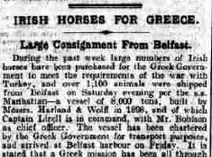 Greek Government Purchases Irish Horses