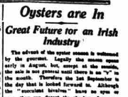 The Irish Oyster Industry