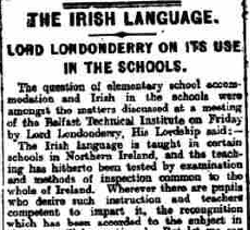 The Role of Irish Language in Education Questioned