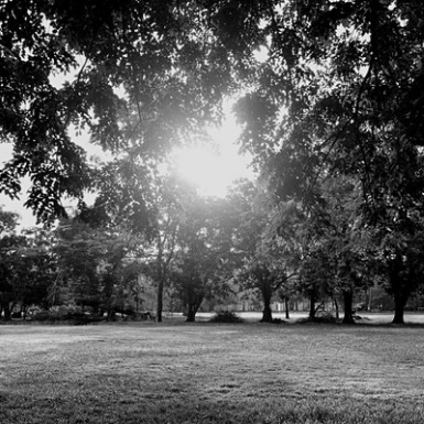 Conversation on a Centenary