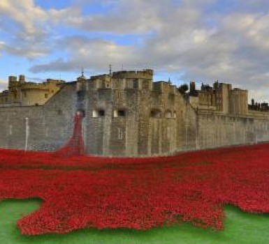 Tower of London poppies could come to Northern Ireland