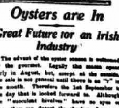 The Irish Oyster Industry