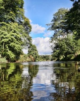 Help to create centenary wood in the north west